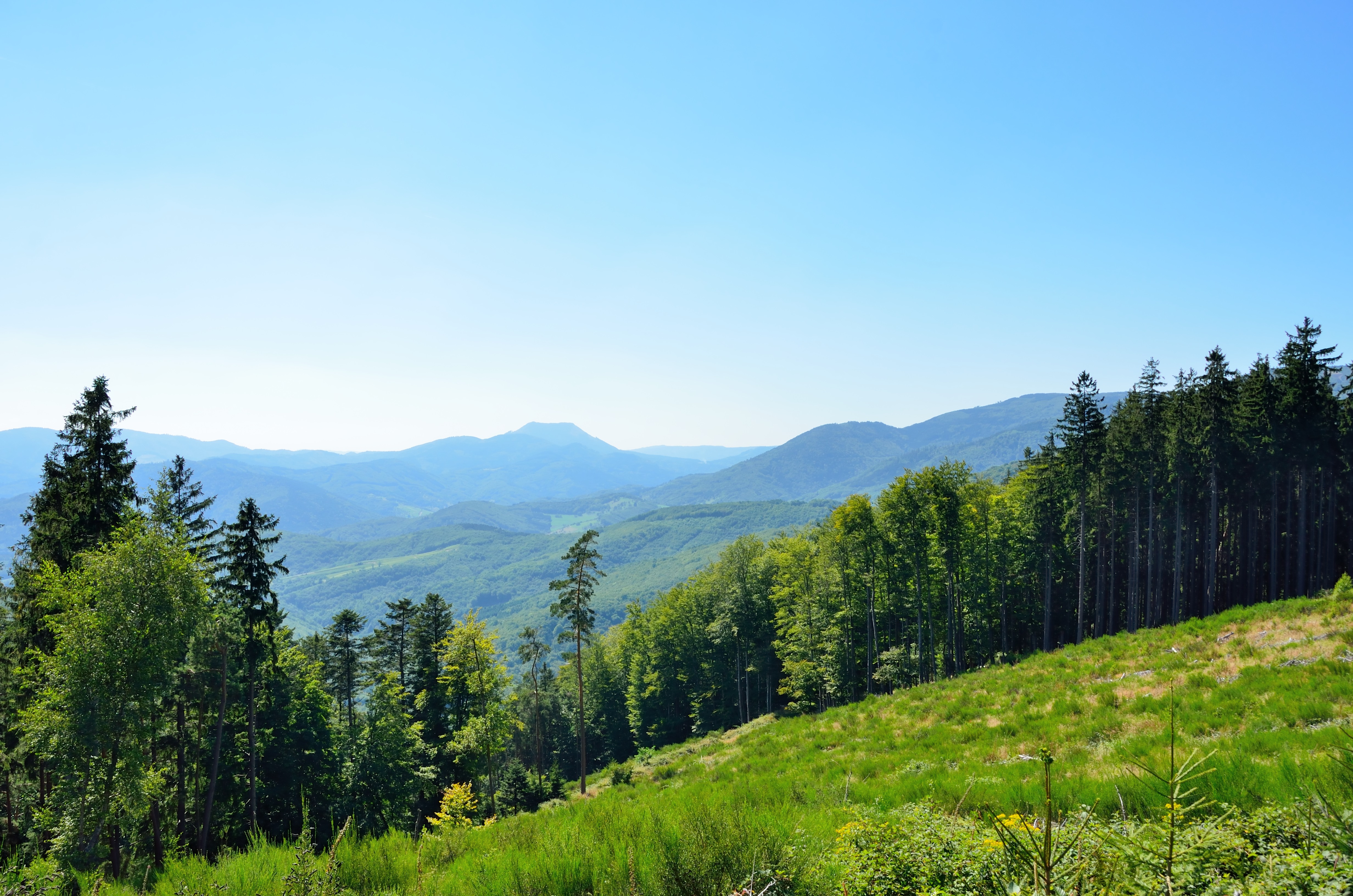 vosges landscape