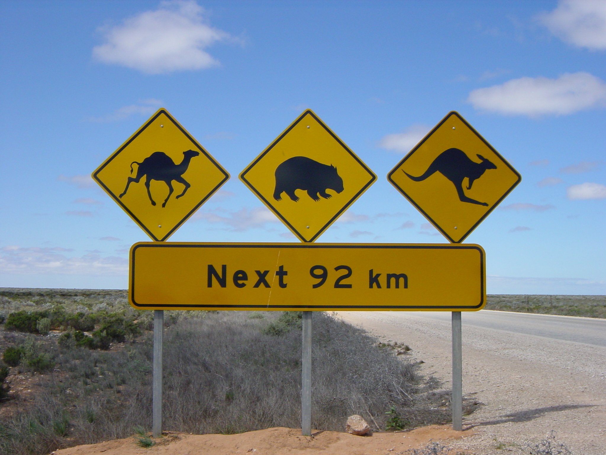 Wombat Sign